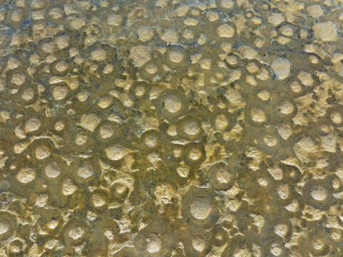 Aerial view of the textured earth, with contrasting circles and earth tones creating an abstract landscape, Walvis Bay, Erongo Region, Namibia.