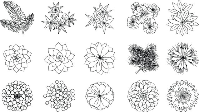 Diverse collection of top view black and white line art vector illustrations featuring various plants and flowers for landscape design projects.