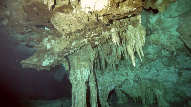A detailed view of dense stalactites covering the ceiling of a clear water limestone cave in Cenote Dos Ojos, Quintana Roo