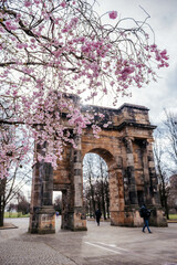 Naklejka premium McLennan Arch Glasgow Green With Cherry Blossoms