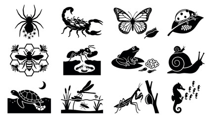 Obraz premium Educational biological life cycle and insect behavior icons for nature study and environmental science curriculum materials