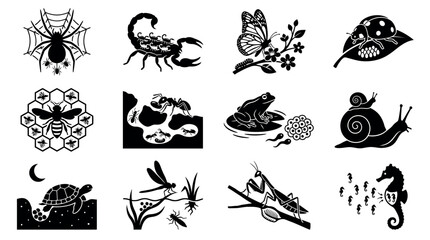 Obraz premium Collection of insect and small animal life cycle icons for educational biology materials and environmental science infographics