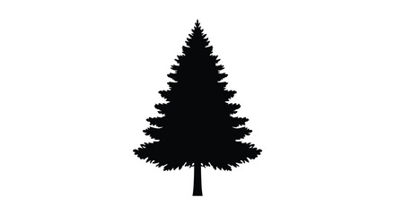 A striking black silhouette of a coniferous evergreen tree against a plain white background silhouette high quality professional © Komla02