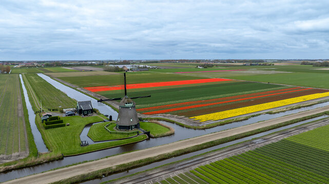 Aerial view of a historic windmill embraced by vibrant tulip fields reflecting a spectrum of colors under a vast, cloudy sky, 't Zand, Noord-Holland, Netherlands.