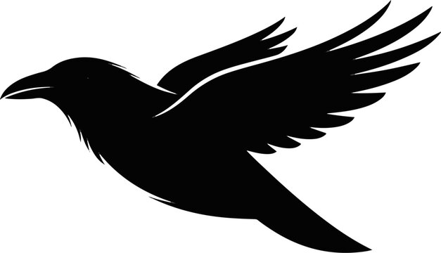 Silhouette of a crow with outstretched wings in flight