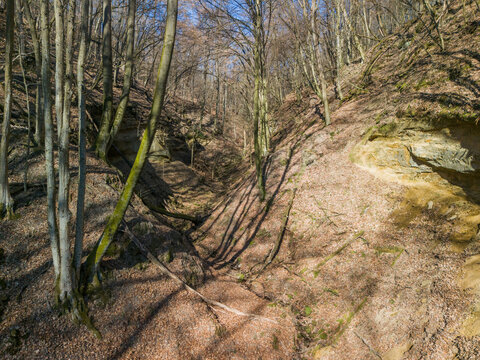 Aerial view of a serene forest valley with trees casting long shadows on the fallen leaves, creating a contrast of light and shadow, Mucin, Banska Bystrica Region, Slovakia.