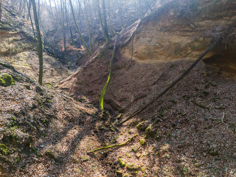 Aerial view of a steep, rugged landscape where sunlight filters through the trees, illuminating the brown leaves and moss-covered rocks, Mucin, Banska Bystrica Region, Slovakia.