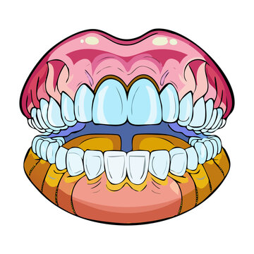 Human mouth and dental anatomy showing upper and lower teeth with gums and lips in a detailed anatomical perspective for dentistry