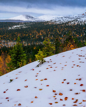 The transition from autumn to winter in Finnish Lapland