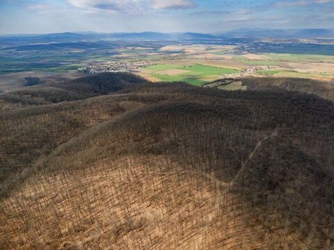 Aerial view of rolling hills covered in dense, leafless trees casting intricate shadows, with distant fields and settlements under a bright sky, Mucin, Banska Bystrica Region, Slovakia.
