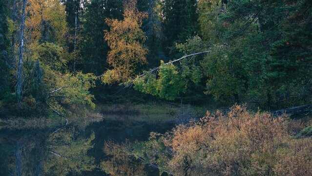 A small pond in a Finnish forest, bathed in autumn colors