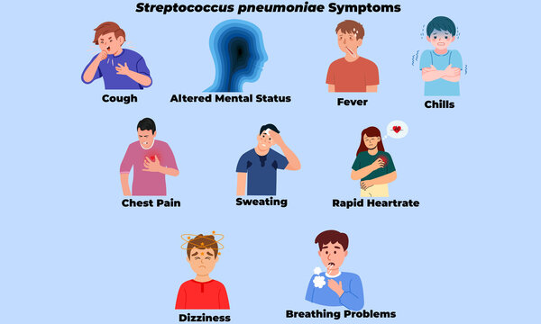 Symptoms of Streptococcus pneumoniae Infection &ndash; Human Clinical Signs Illustration