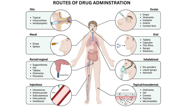 Routes of Drug Administration &ndash; Human Medicine and Pharmacology Illustration