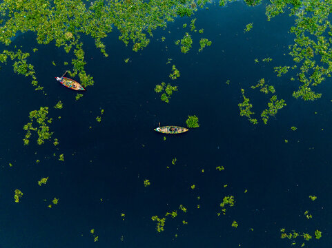 Aerial view of boats navigating through water hyacinth-covered waters, creating a mesmerizing contrast of green and blue, Dhaka, Dhaka Division, Bangladesh.