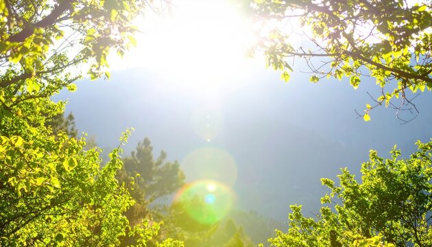 Luz solar intensa brilhando atrav&eacute;s da folhagem verde vibrante de &aacute;rvores contra o c&eacute;u azul claro.