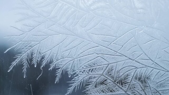 Closeup Of Fragile Frost Patterns Creating Natureinspired Designs On Glass In Peaceful Morning Setting