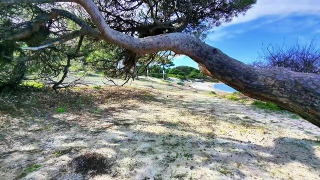 Aerial view of Karydi Beach in Vourvourou, Sithonia peninsula, Chalkidiki, Greece in spring offseason