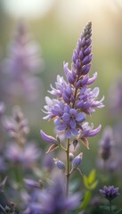 Obraz premium Vertical closeup of purple lupine flower spike in blooming summer meadow. Generative AI