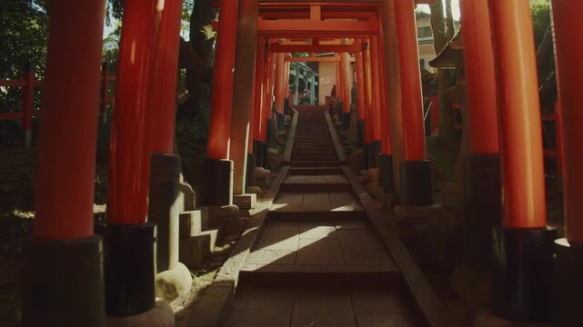 朝日と伏見稲荷大社の千本鳥居の階段