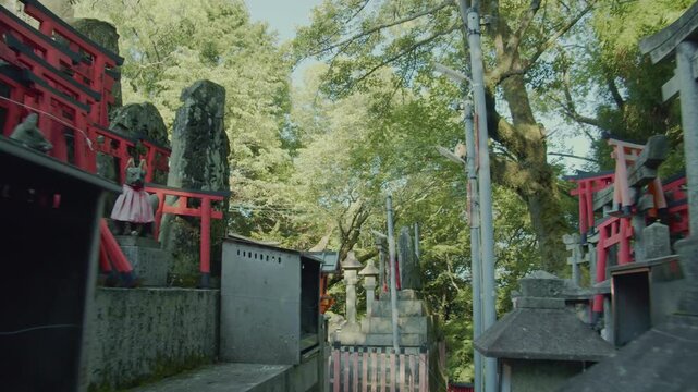 早朝の伏見稲荷大社と緑