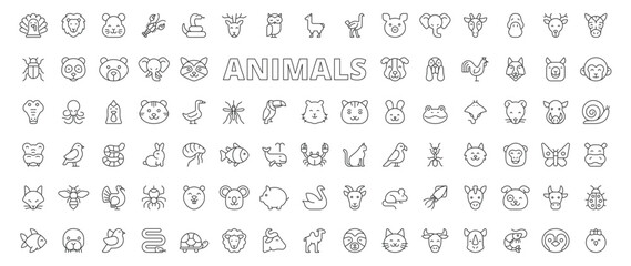 Naklejka premium Animals icons in line design. animals, wildlife, pet, mammal, bird, fish, nature on white background vector. Animals editable stroke icons
