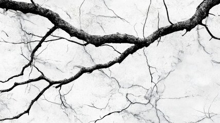 Obraz premium Black and white marble wallpaper with tree branch elegant black and white marble texture featuring a delicate tree branch design