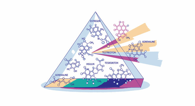 Molecular Structures of Human Hormones and Biochemical Compounds