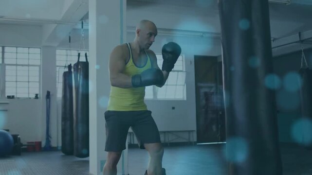Boxer shifting weight, throwing punch combos at heavy bag for boxing, blue bokeh overlapping