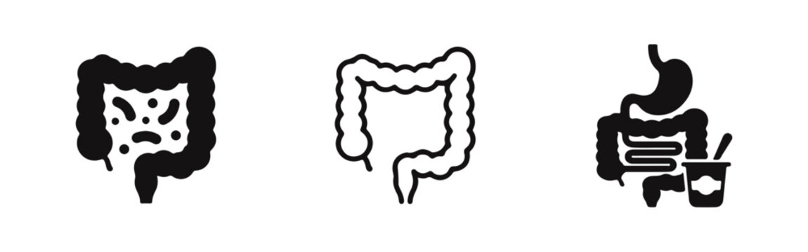 Set of human digestive system icons featuring the large intestine, stomach, and probiotics, symbolizing gut health and medical wellness.