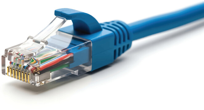 Blue Ethernet Cable Connector Close-up on White Background
