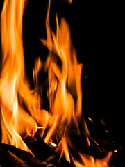 Fototapeta premium Bright fire flames rising from burning wood on dark background. Dynamic glowing shapes with warm orange light, suitable for energy, heat, danger and abstract background concepts