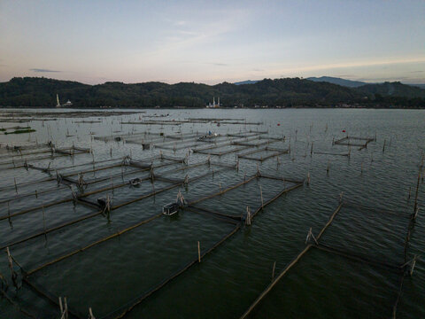 Aerial view of geometric fish farms dotting the tranquil waters near distant mosques against a backdrop of rolling hills, Klaten, Jawa Tengah, Indonesia.