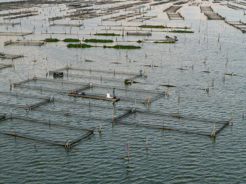 Aerial view of a fisherman tending to his floating fish farms in the still waters of Rawa Jombor, the scene shimmering with the reflected sky, Klaten, Jawa Tengah, Indonesia.
