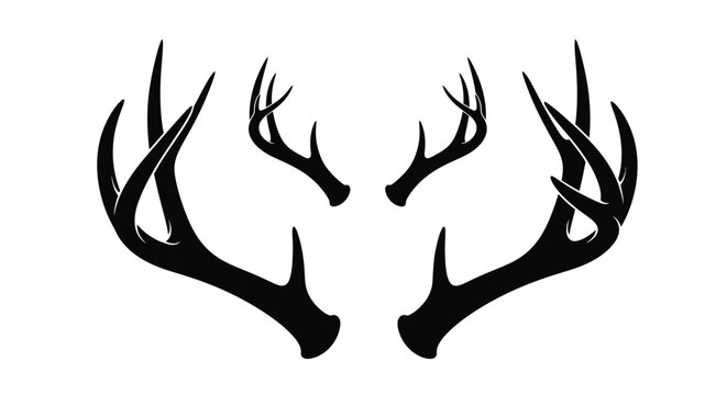 Detailed black antlers against white a striking graphic silhouette