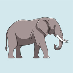 Fototapeta premium A detailed cartoon illustration of a large grey elephant with tusks and a trunk, walking on a light blue background.