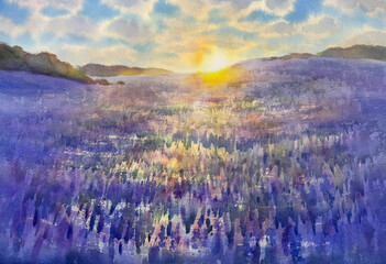 Obraz premium Lupine field blooming in sunset panorama watercolor background