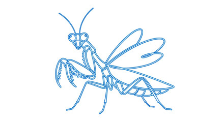 Detailed drawing of a praying mantis. © mboku