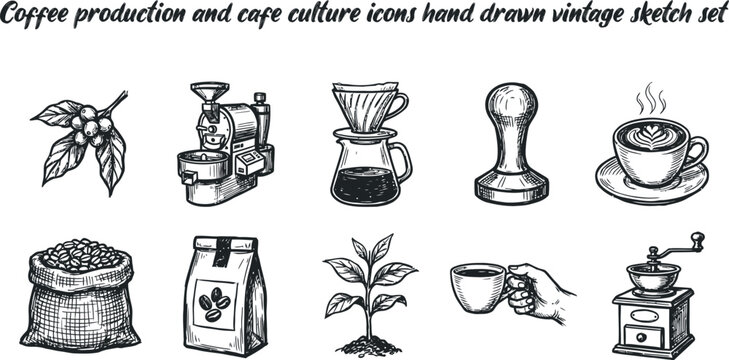 Coffee production and cafe culture icons hand drawn vintage sketch set