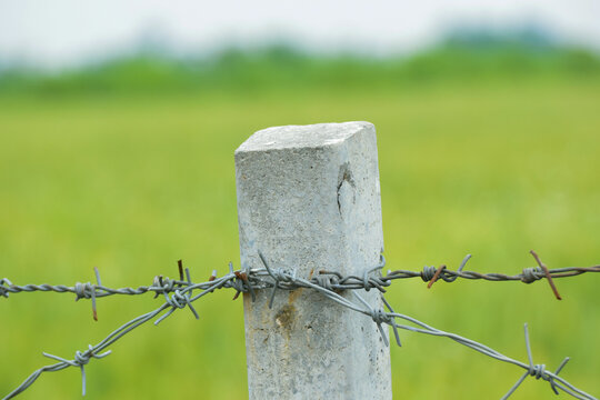 The old concrete pole with barbed wire fence in rice field, barbed wire fence in the garden, Close up of concrete barbed wire fence post with nature background. Close up of concrete barbed wire