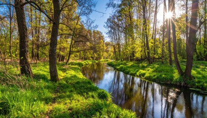 Fototapeta premium Golden light dances upon a tranquil waterway.