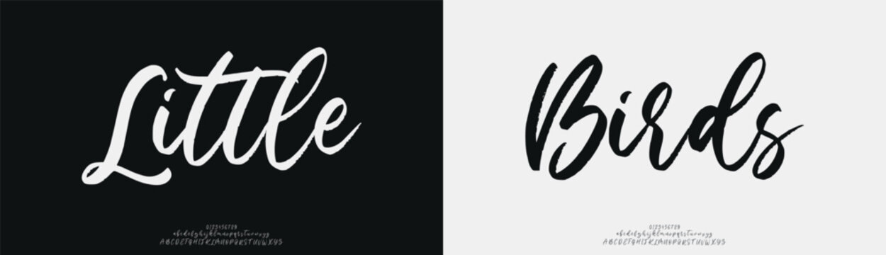 Little Birds, Script luxury wedding alphabet letters font with tails. Typography elegant classic serif fonts and number decorative vintage retro concept for logo branding. vector illustration
