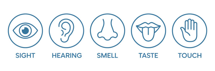 Five human senses icon set with editable stroke outline, featuring ear, eye, nose, lips, and hand, minimalist flat vector illustration representing the human nervous system