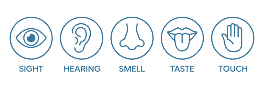 Five human senses icon set with editable stroke outline, featuring ear, eye, nose, lips, and hand, minimalist flat vector illustration representing the human nervous system