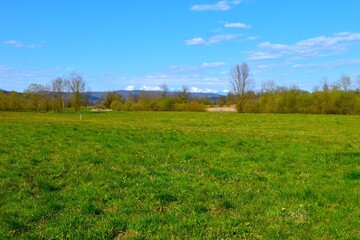 Fototapeta premium Green fields with trees and mountains in the distance at Ljubljansko Barje in Slovenia