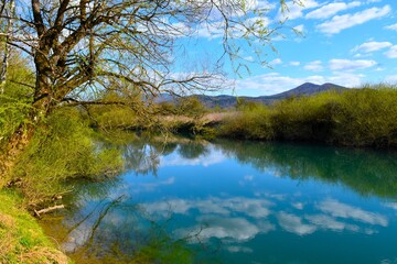 Obraz premium Tree at the shore of Ljubljanica river with hills in the distance at Ljubljansko Barje in Slovenia