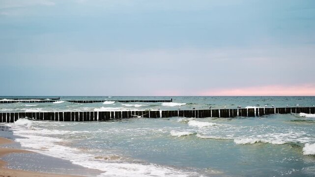 Seagulls Flying Over The Wooden Groynes While The Amazing Seascape At Baltica Being Illuminated A Pink Sunset
