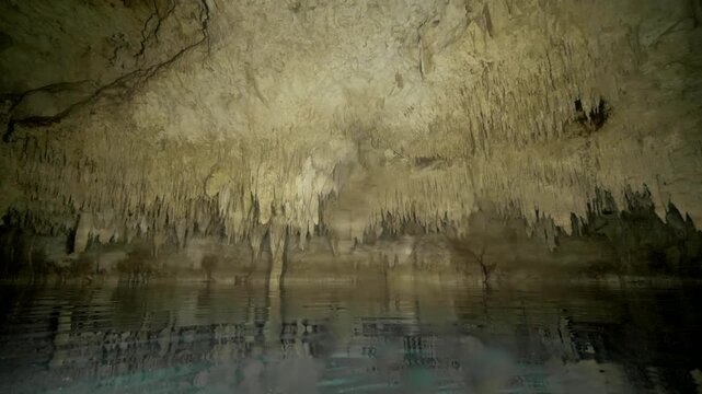 Bat silhouette moves near cave ceiling and water surface illuminated by light in Cenote Dos Ojos, Quintana Roo, Mexico