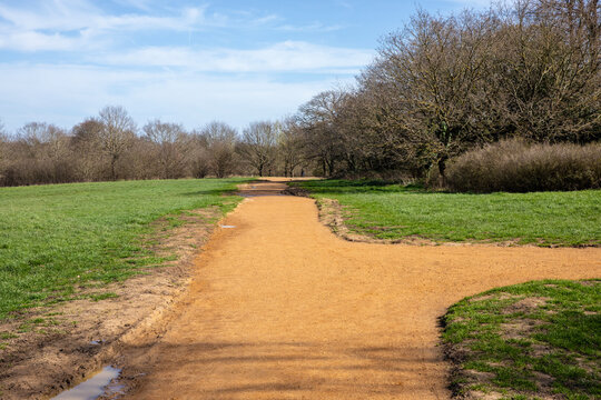Pathway in Epping Forest, Chingford, London