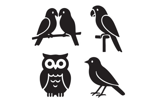 Black silhouettes of various birds including parrots and an owl