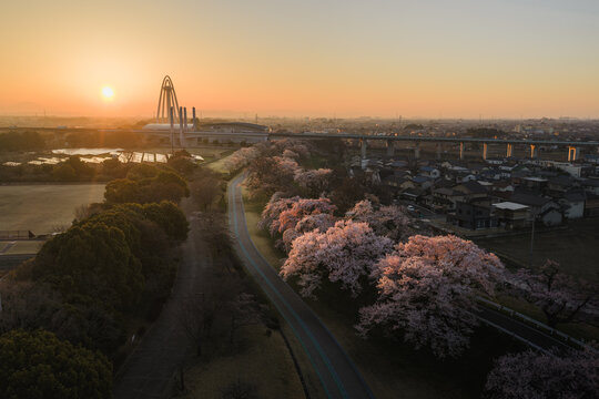 Aerial view of a road lined with cherry blossoms leading towards the Kiso River and a futuristic tower under the soft glow of the rising sun, Ichinomiya, Aichi, Japan.